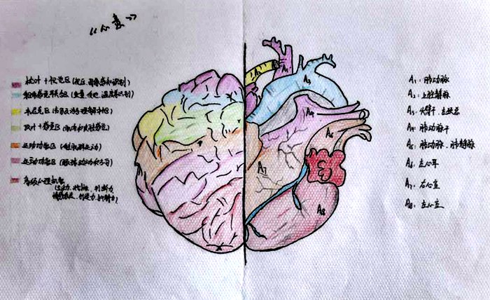 04a26669e7030665a2c3acf3cda7031 - 副本.jpg 04a26669e7030665a2c3acf3cda7031 - 副本.jpg