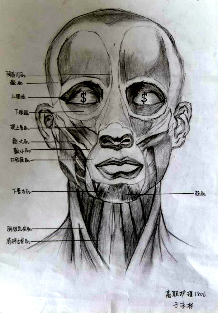 8c7921c5e62d57d3a5987991106eafc - 副本.jpg 8c7921c5e62d57d3a5987991106eafc - 副本.jpg