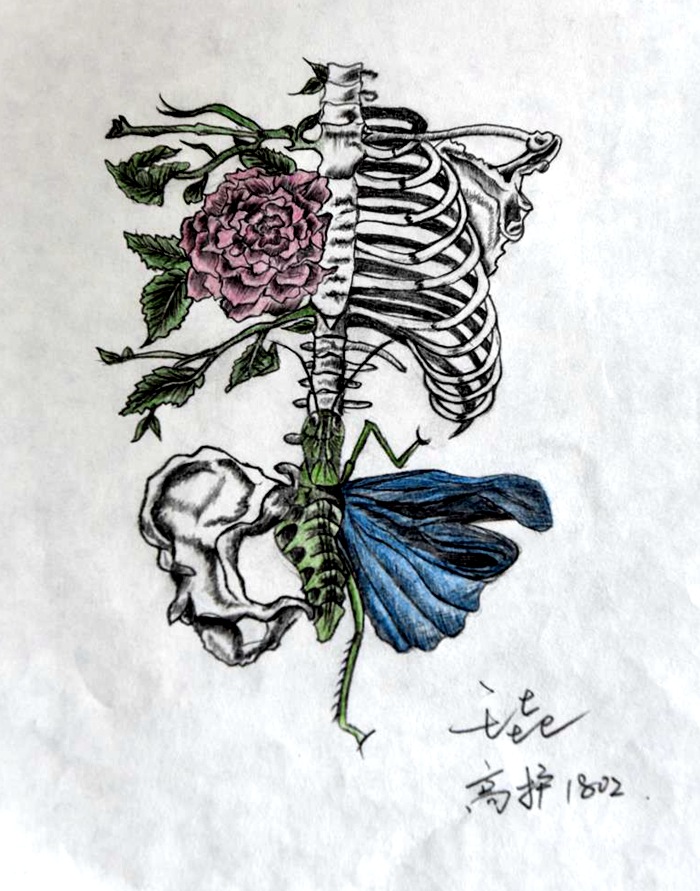 65d8f00b81c72fa7bf58899c2ced66b - 副本.jpg 65d8f00b81c72fa7bf58899c2ced66b - 副本.jpg