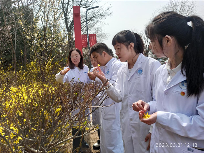 圖片13.jpg 圖片13.jpg