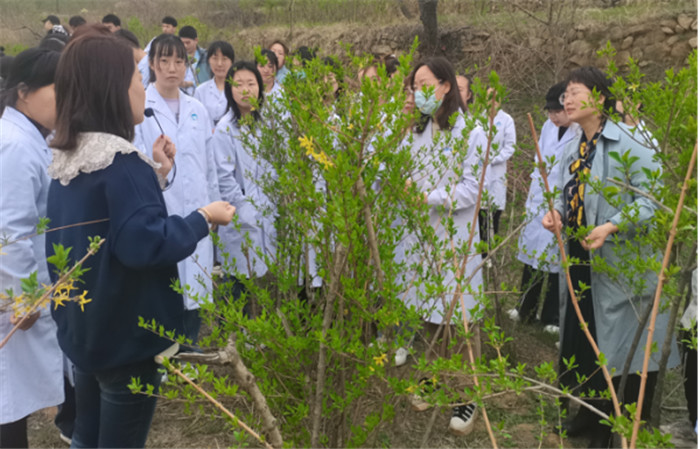 圖片4.jpg 圖片4.jpg