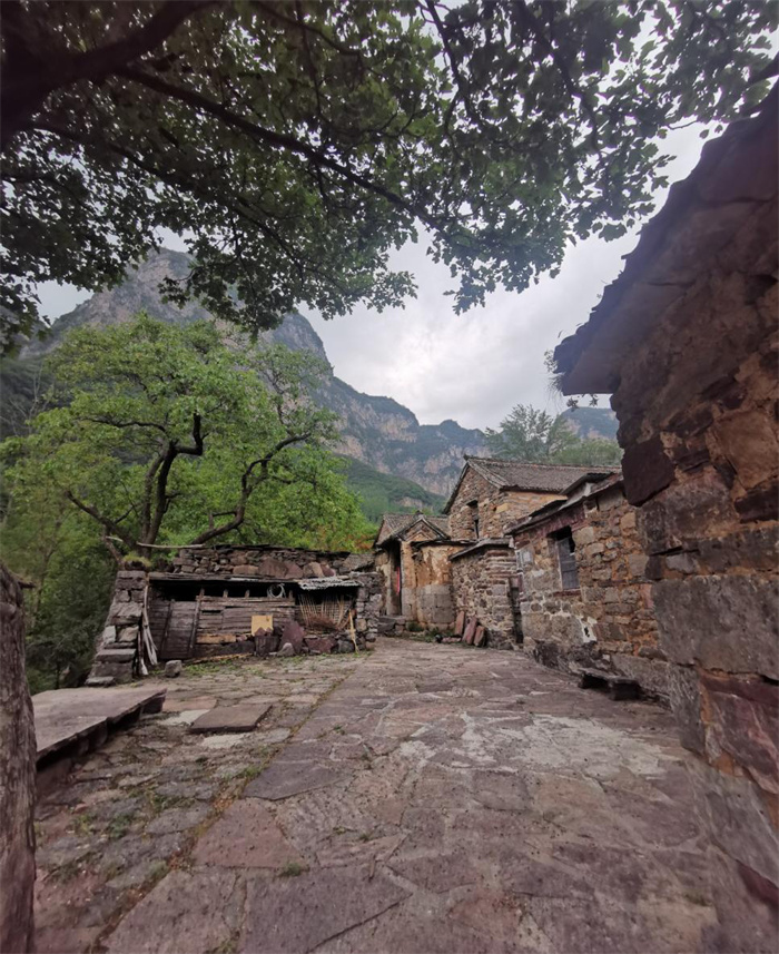 圖片13.jpg 圖片13.jpg