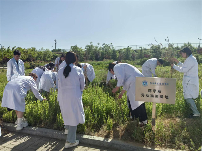 圖片7.jpg 圖片7.jpg