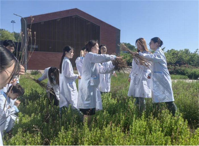 圖片8.jpg 圖片8.jpg